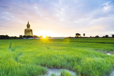 Tayland 'da Buda heykeli