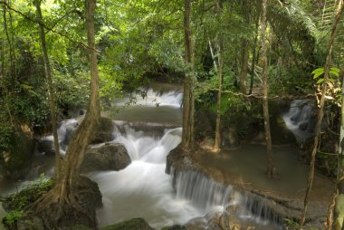Ulusal parkta şelale