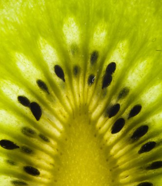 Kiwi fruit texture clipart