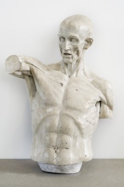 Antik beyaz mermer heykel