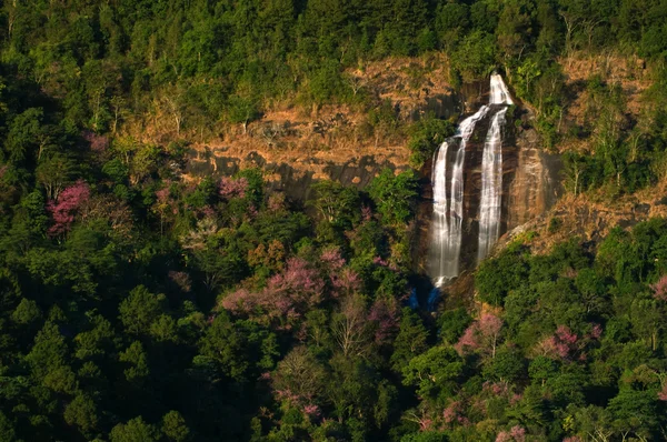 Waterfall from a cliff — Stock Photo, Image