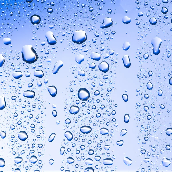 Water drops — Stock Photo, Image