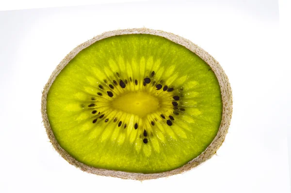 Kiwi-Scheibe — Stockfoto