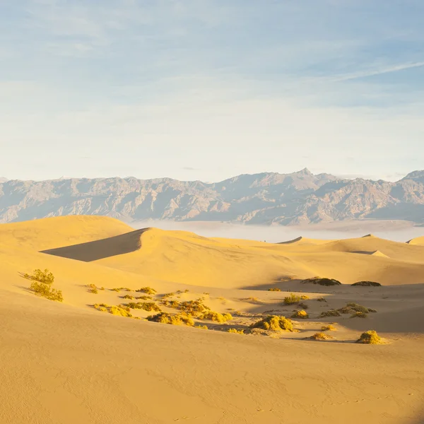 Dunas de areia — Fotografia de Stock