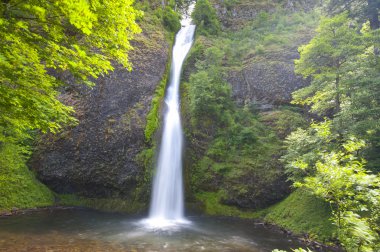 Waterfall in Oregon clipart