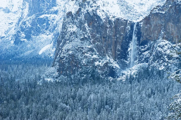 Parc national Yosemite — Photo