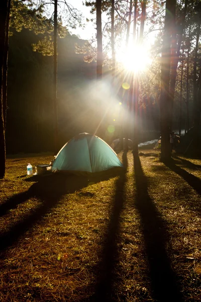 Illuminated blue Camping tent from sunlight — Stock Photo, Image