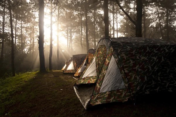 Raio de luz solar brilhando na barraca de acampamento — Fotografia de Stock