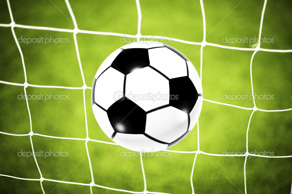 Soccer ball goal on the net