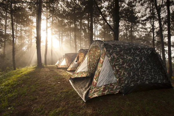 Ray of sunlight shining on the camping tent — Stock Photo, Image