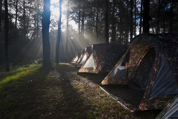 Promień światła świeci na namiot kempingowy — Zdjęcie stockowe