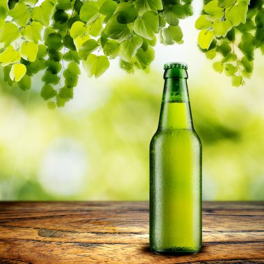 bira şişesi