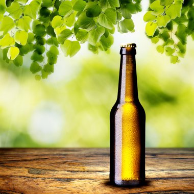 bira şişesi