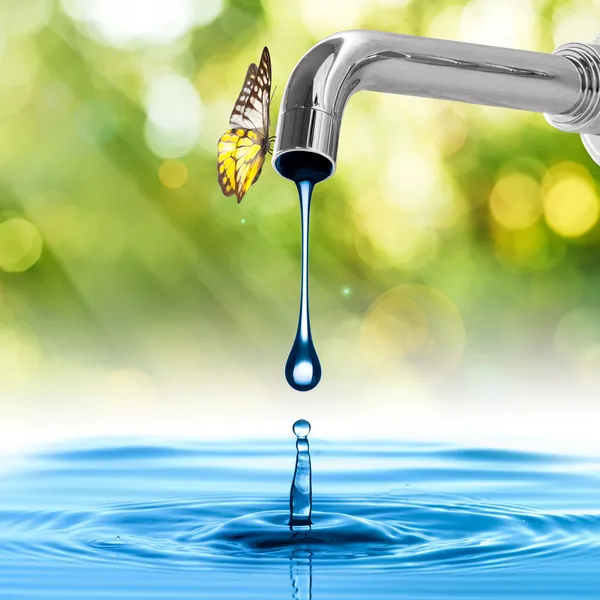 ᐈ Grifo de agua imágenes de stock, fotos grifo de agua | descargar en