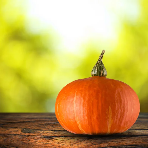 Pumpkin — Stock Photo, Image