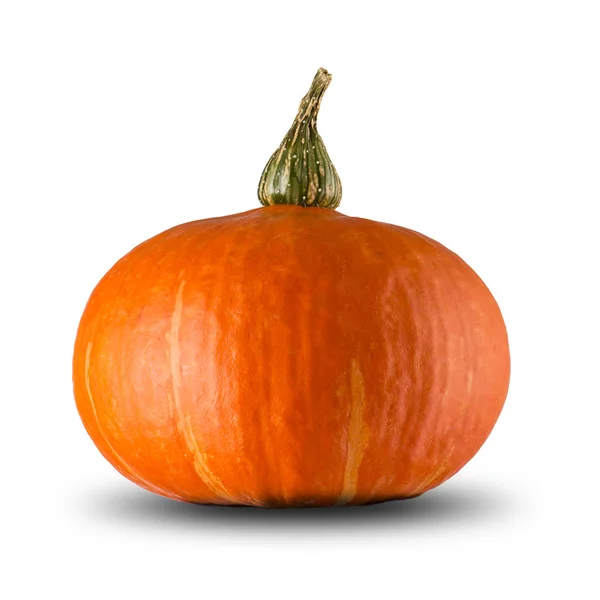 Pumpkin — Stock Photo, Image