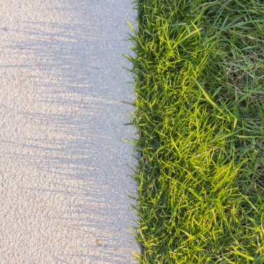 gölgeler ile çimen