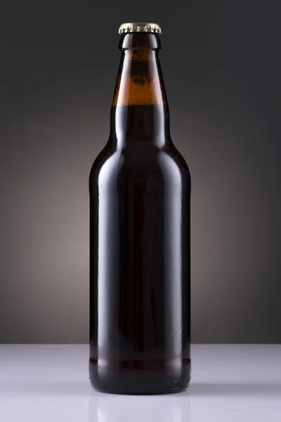 Beer Bottle — Stock Photo, Image