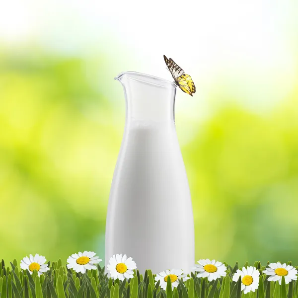 Glas Milch auf Grün — Stockfoto