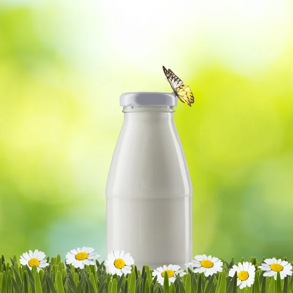 Milk bottle on green grass — Stock Photo, Image