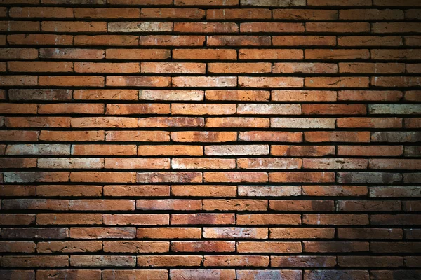 Brick wall — Stock Photo, Image