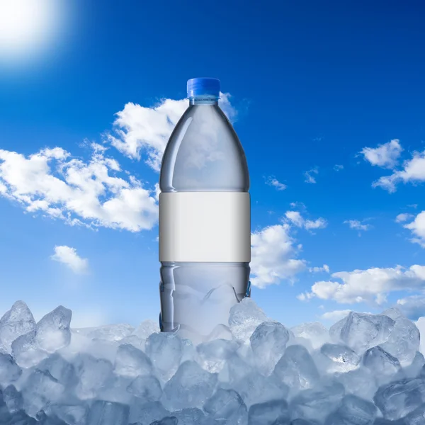 Bottiglia in cubetto di ghiaccio — Foto Stock