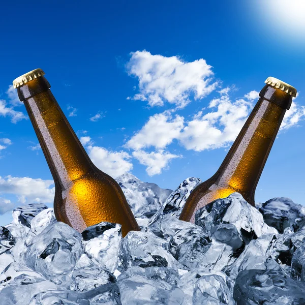 Cold beer bottles — Stock Photo, Image