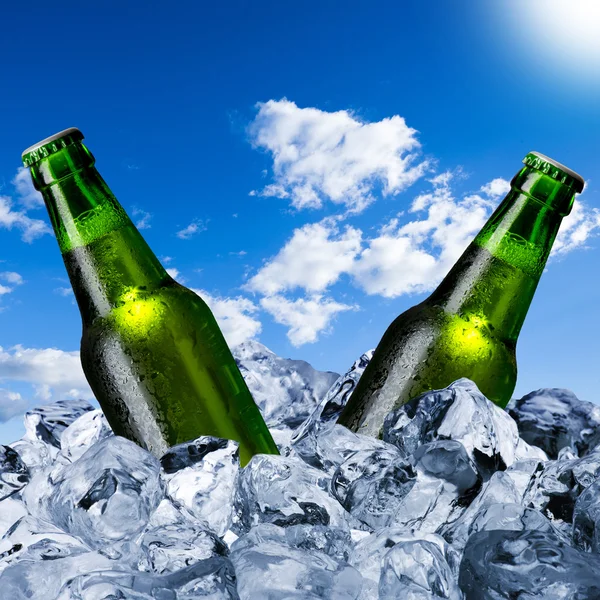 Cold beer bottles — Stock Photo, Image