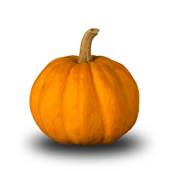 Pumpkin — Stock Photo, Image