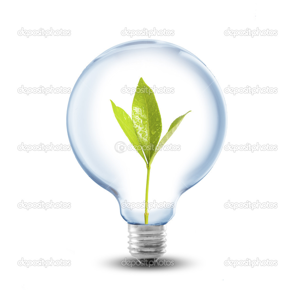 Light Bulb with plant sprout inside