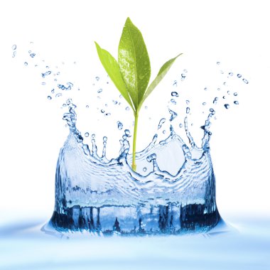 Water splash with leaf clipart