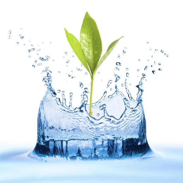 Water splash with leaf — Stock Photo, Image