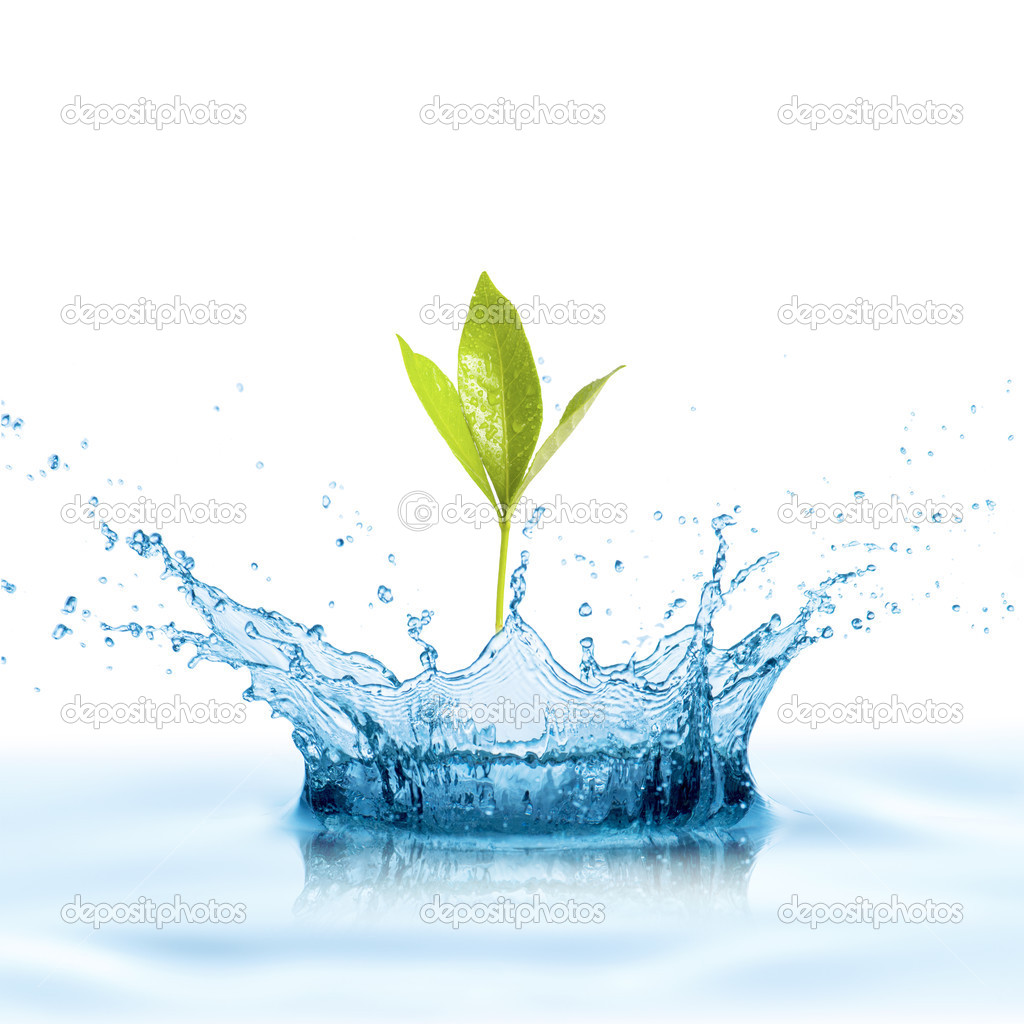 Water splash with leaf