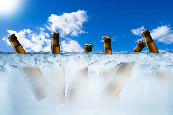 Botellas de cerveza en cubitos de hielo —  Fotos de Stock
