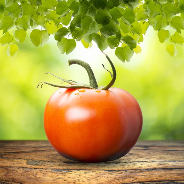 Tomato On Wood Table — Stock Photo, Image