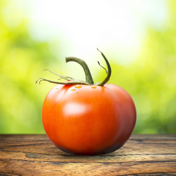 Tomate sobre mesa de madera — Foto de Stock