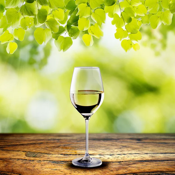 Copa de vino blanco — Foto de Stock