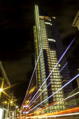 Londra Kulesi'nde balıkçıl
