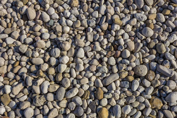 Full frame pebbles texture — Stock Photo, Image