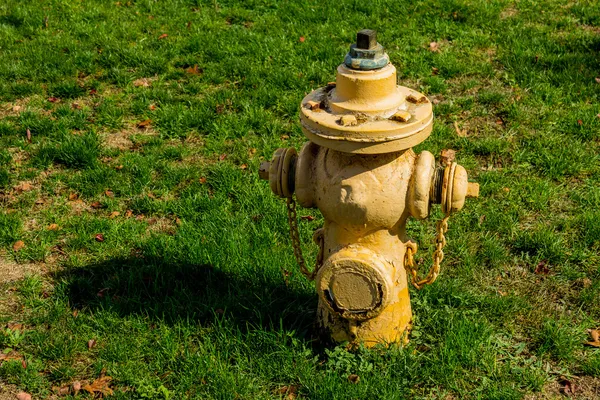 Fire hydrant in Toronto