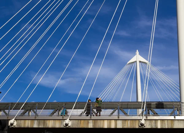 Lady taking a picture from Hungerford Bridge — Stock Photo, Image