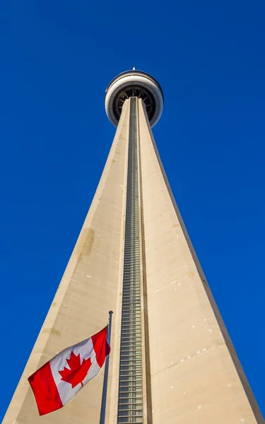 Вид на CN Tower с земли — стоковое фото