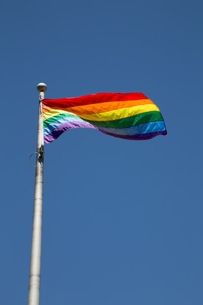 World Pride Flag in Toronto