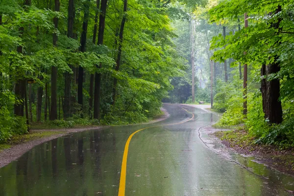 Landelijke weg op een regenachtige dag — Stockfoto