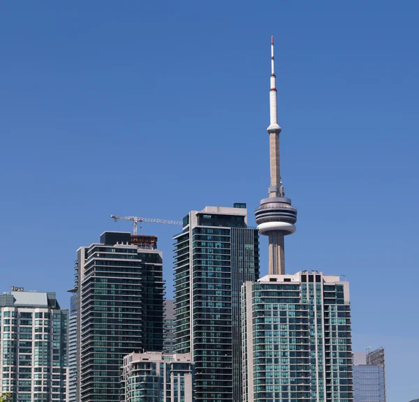 CN Tower and Condos — Stock Photo, Image
