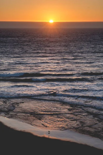 Pasifik Okyanusu 'nun muhteşem manzarası ve ufukta güzel bir gün batımı, merkezinde güneş ışınları ve kumsalda kuşların siluetleri.