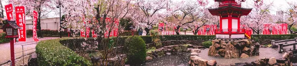 Panorama Super Amplo Árvores Sakura Florescendo Pétalas Rosa Fonte Água — Fotografia de Stock