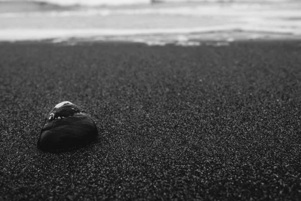 Hermoso Detalle Concha Marina Arena Playa Blanco Negro —  Fotos de Stock