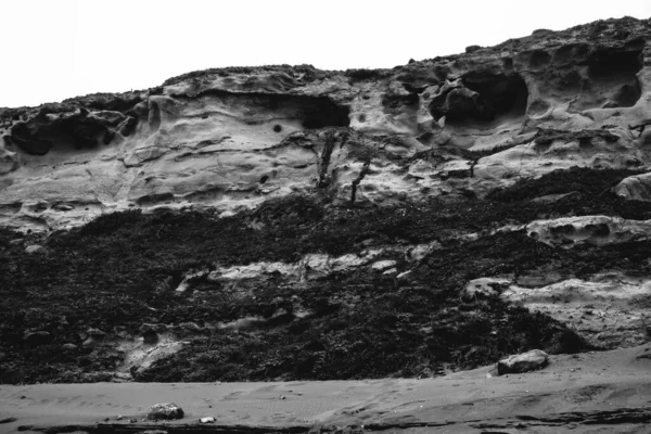 海滩上的山地结构和植被细节 黑白相间 — 图库照片