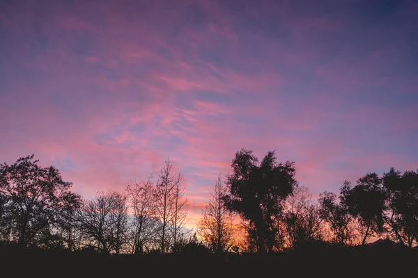 Silhuetas Árvores Campo Durante Pôr Sol Bonito Colorido — Fotografia de Stock